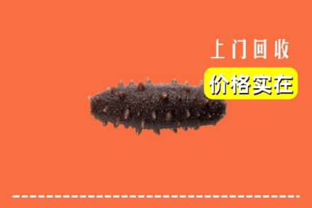 应县回收海参