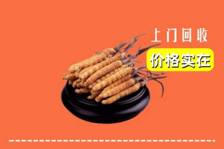 应县回收冬虫夏草
