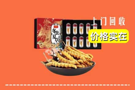 应县回收虫草